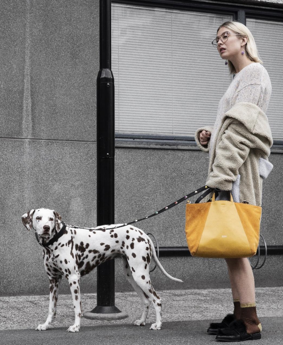 Flora Dog Collar & Leash