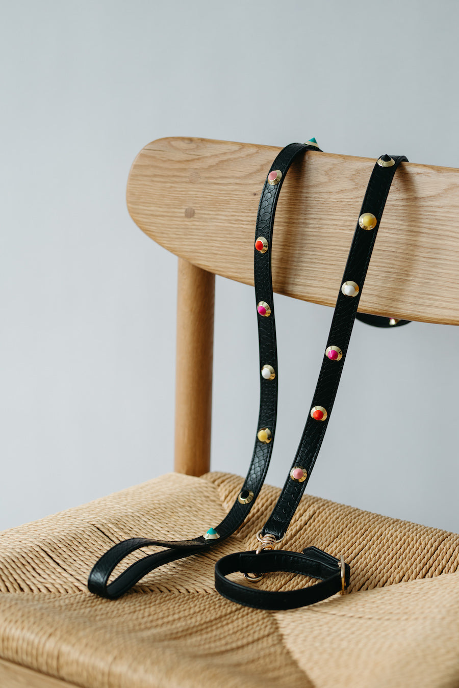 Flora Dog Collar & Leash