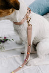 Flora Dog Collar & Leash