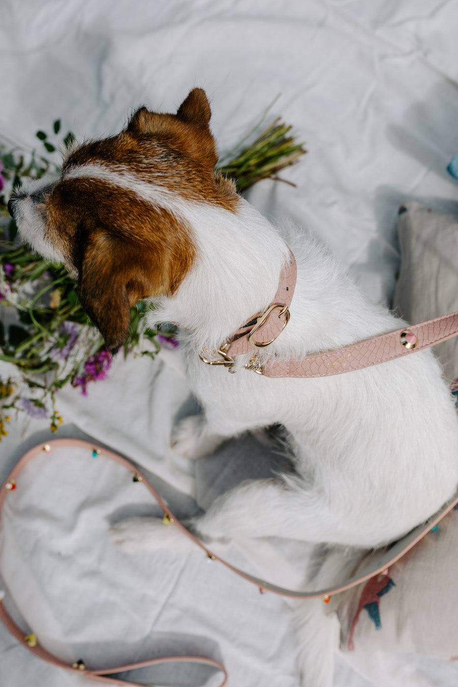 Flora Dog Collar